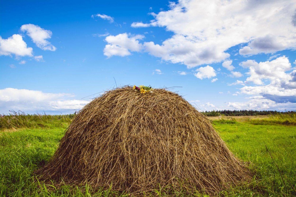 Сенная копна