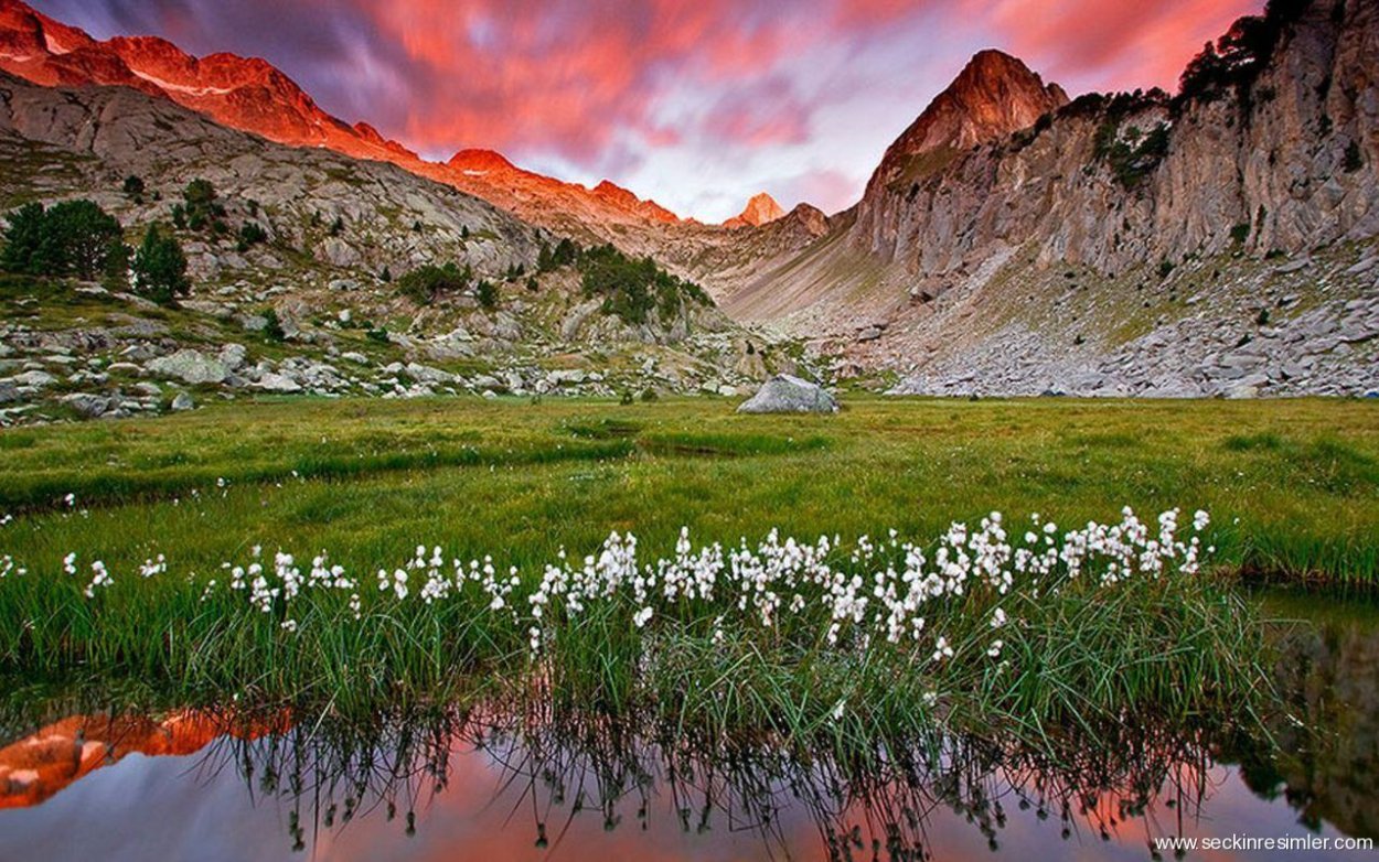 Незабываемая природа