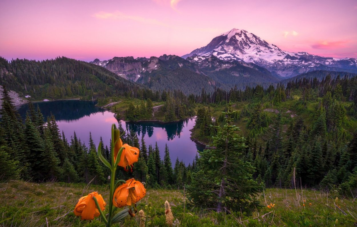 Природа лето горы