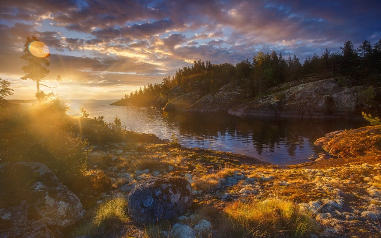Профессиональные фотографии пейзажей