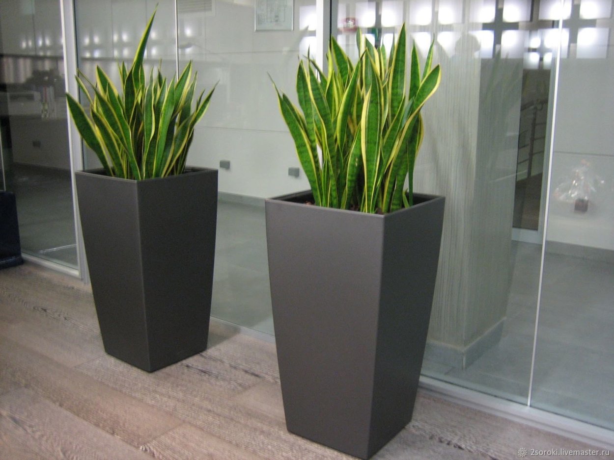 Кашпо Lamela Finezja, антрацит, 40-l, 40-w, 75,3-h