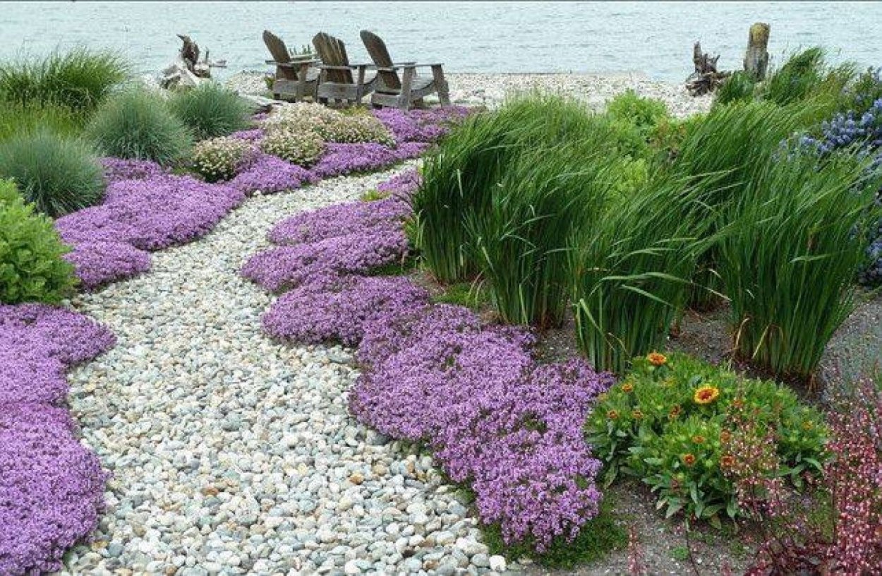 Флокс шиловидный в ландшафте