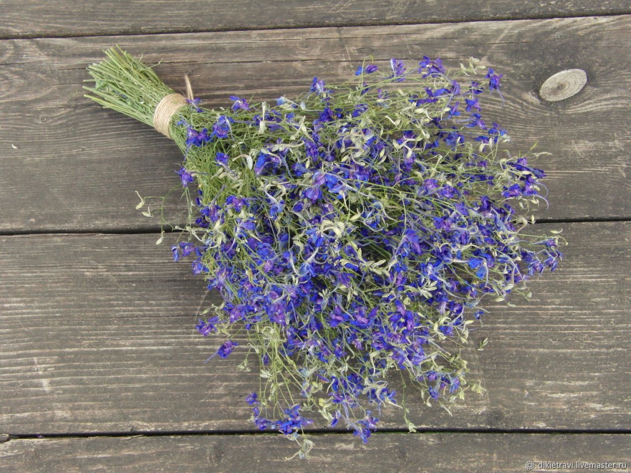 Живокость Полевая сухая