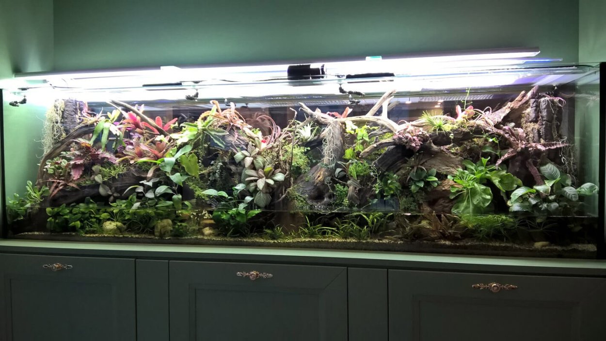 Палюдариум на 60л