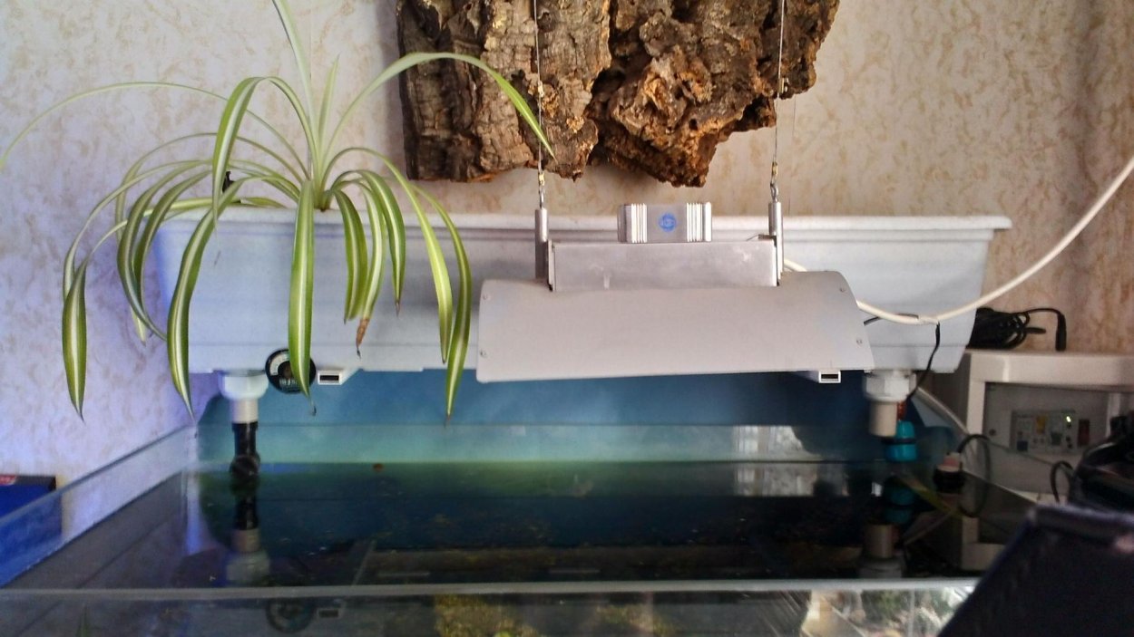 Лоток для фитофильтра