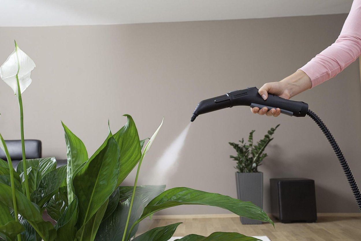 Спатифиллум опрыскивание