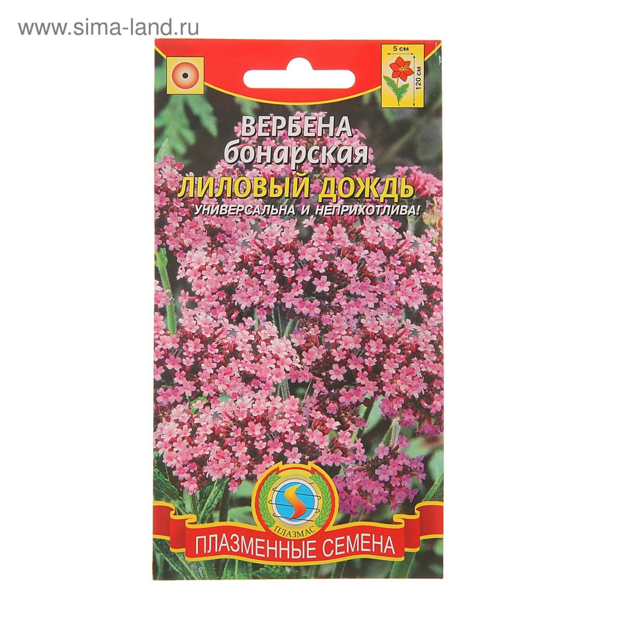 Вербена бонарская Плазмас