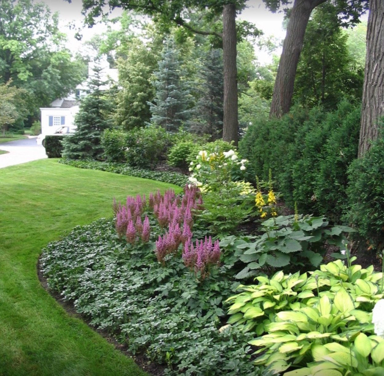 Малоуходный миксбордер