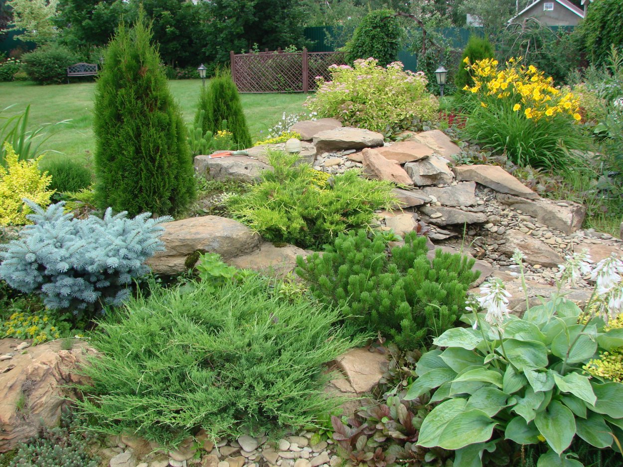 Ландшафт Хоста можжевельник горка