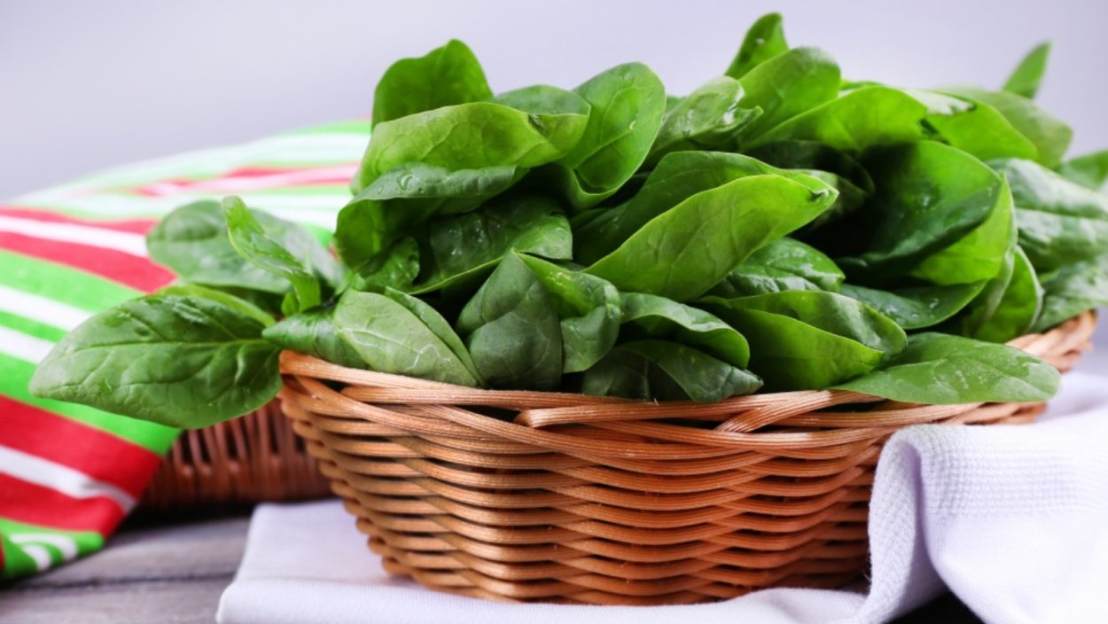 Щавель на столе