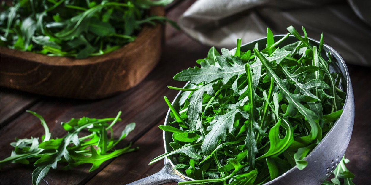 Трава рукола