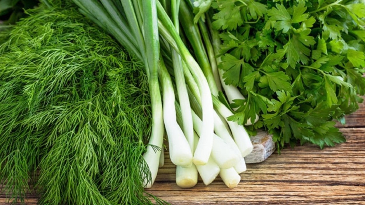 Укроп петрушка черемша