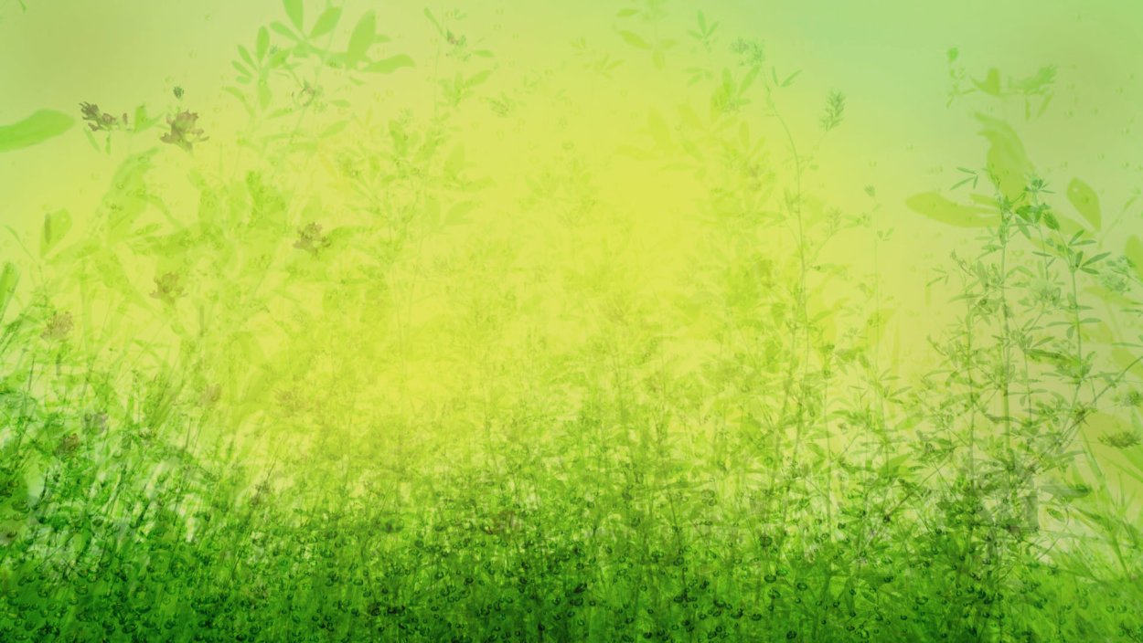 Растительный фон