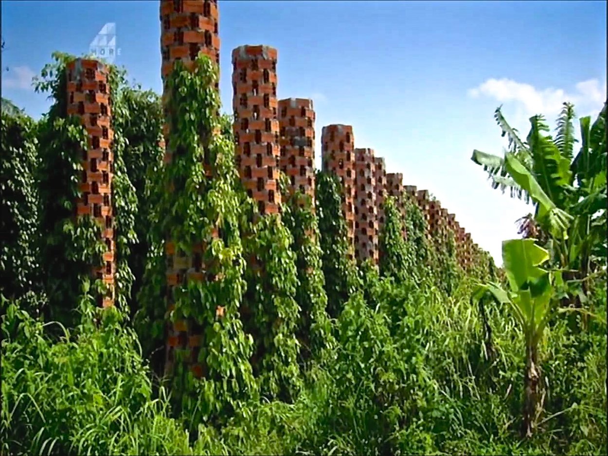 Ферма la Plantation, провинция Кампот, Камбоджа.