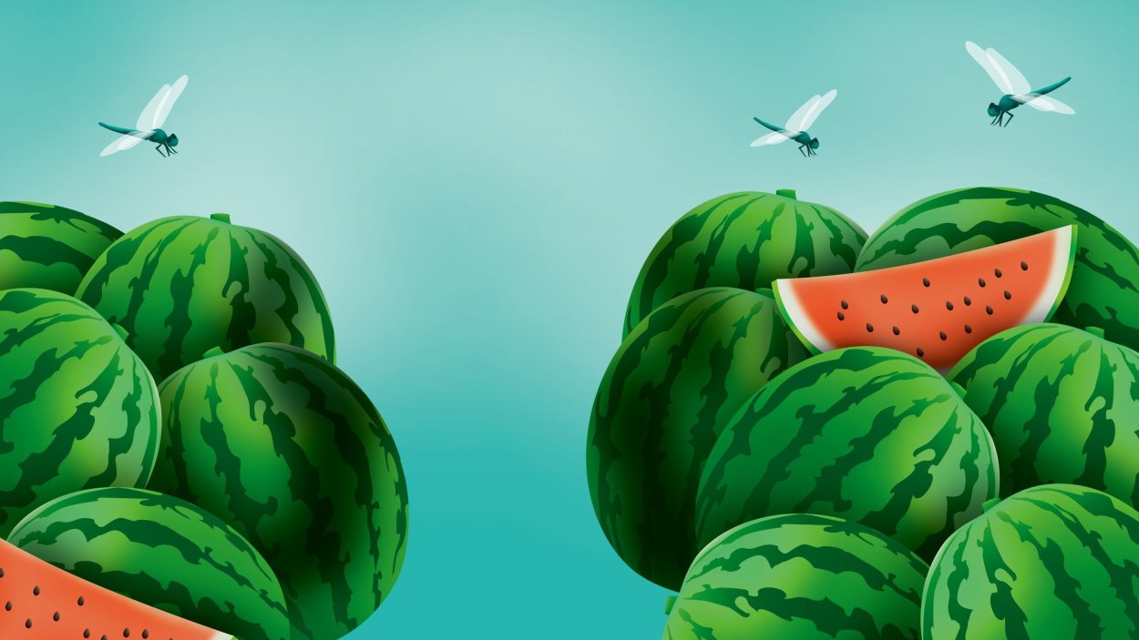 Баннер арбузы