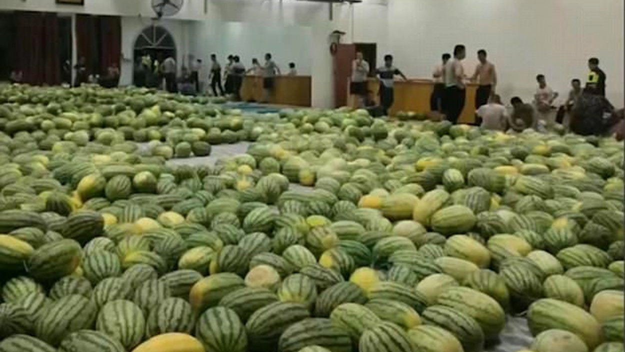 100 Тонн арбуза