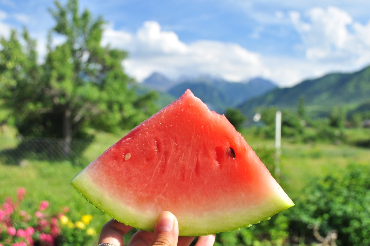 Арбуз на столе на природе