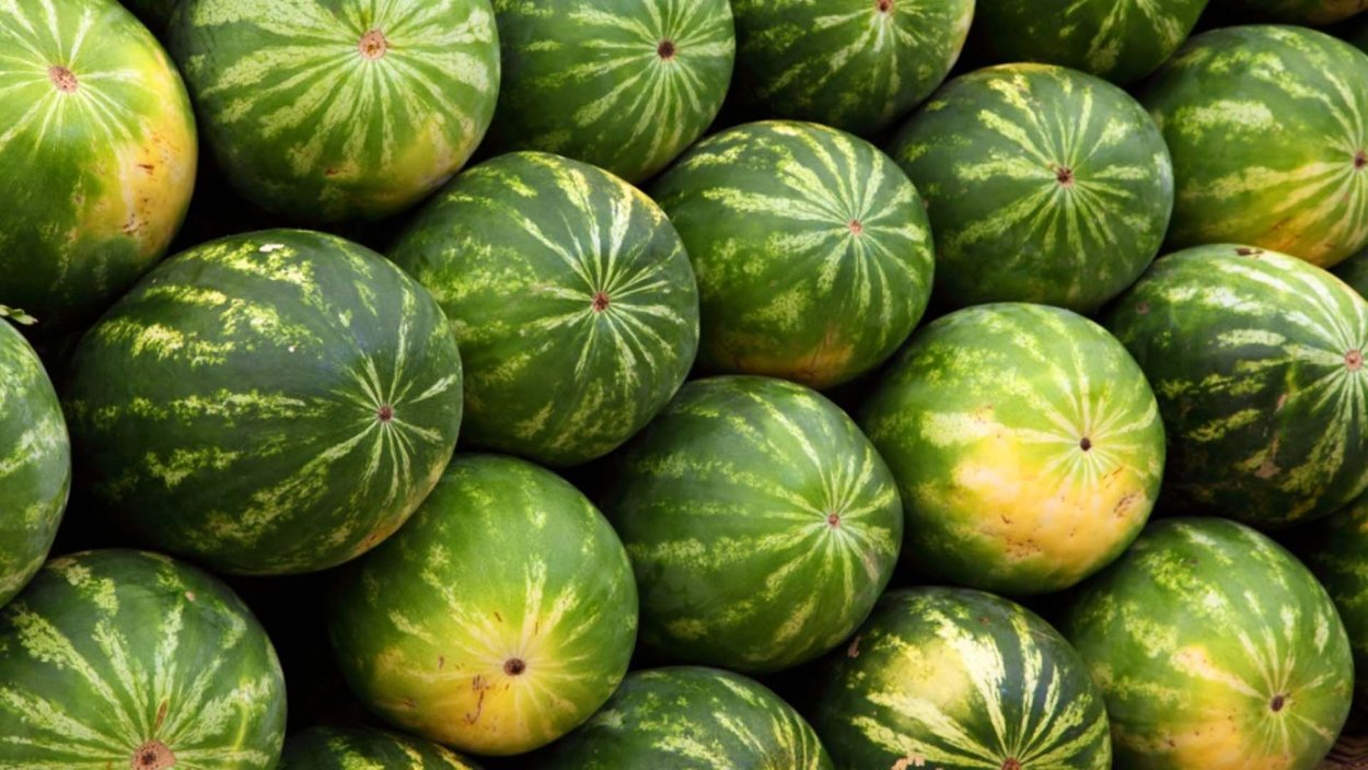 Корейский Арбуз