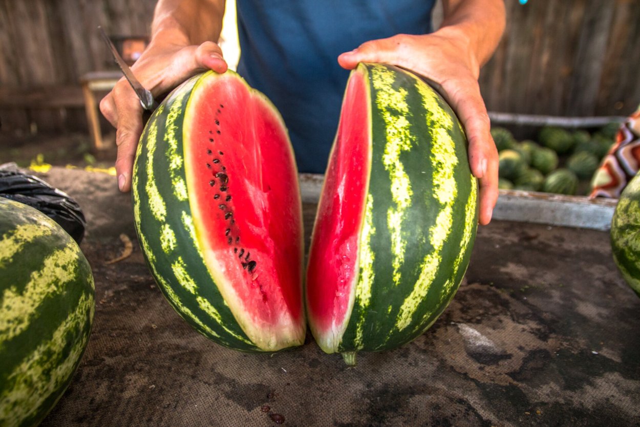 Арбуз растет