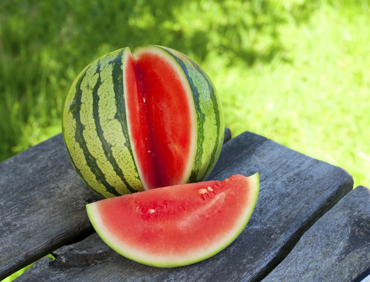 Семена Гавриш Sakata Арбуз Регус бессемянный f1 3 шт.