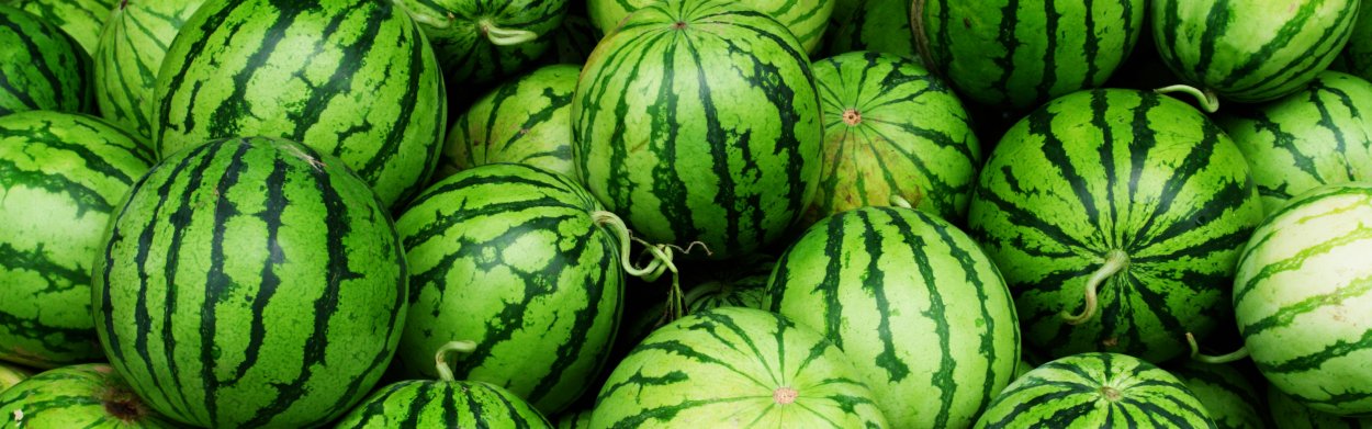 Арбузы дыни фон