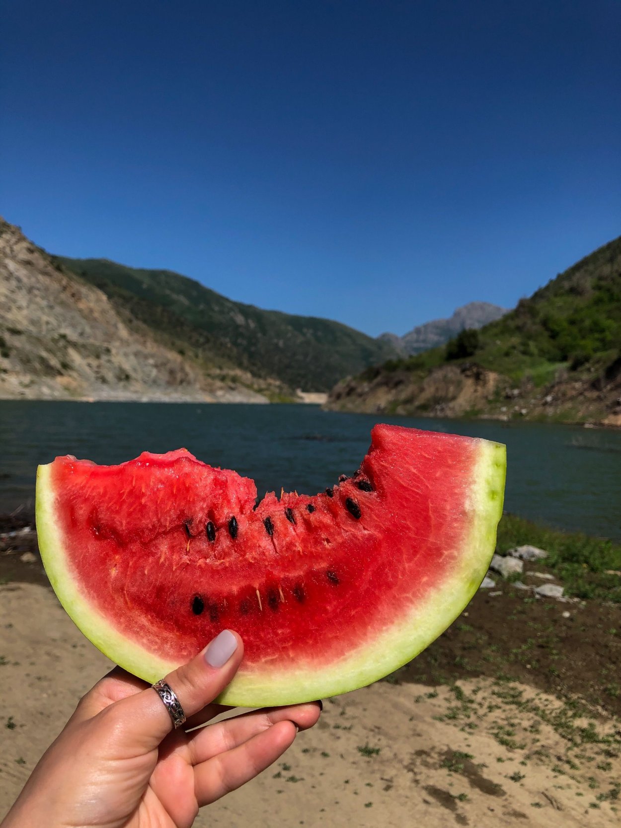 Арбуз на море