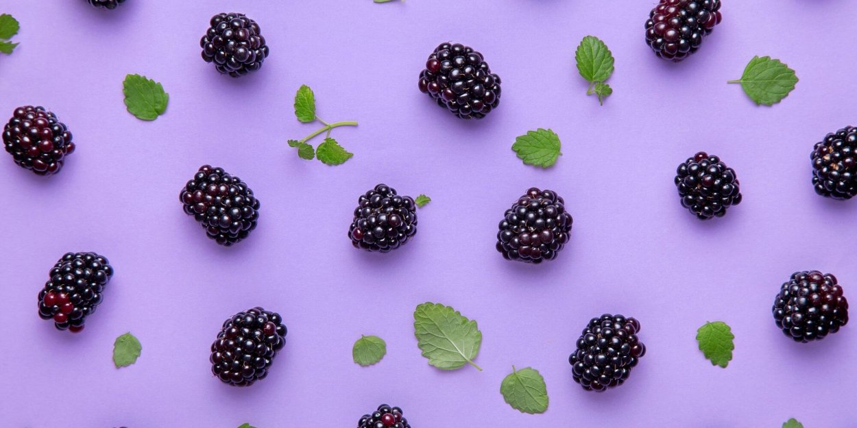 Черная ежевика