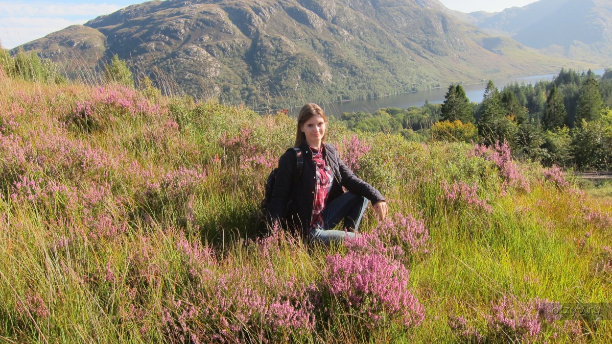 Весенняя Вересковая Пустошь