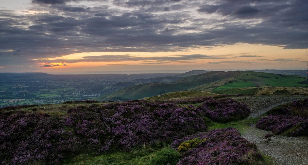 Вересковые пустоши в Англии