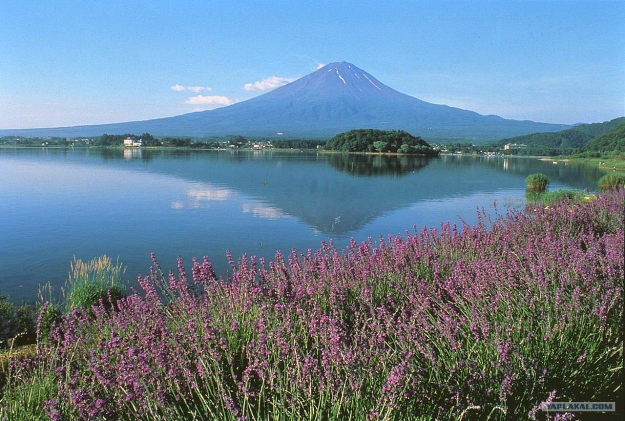 Национальный парк Фудзи-Хаконе