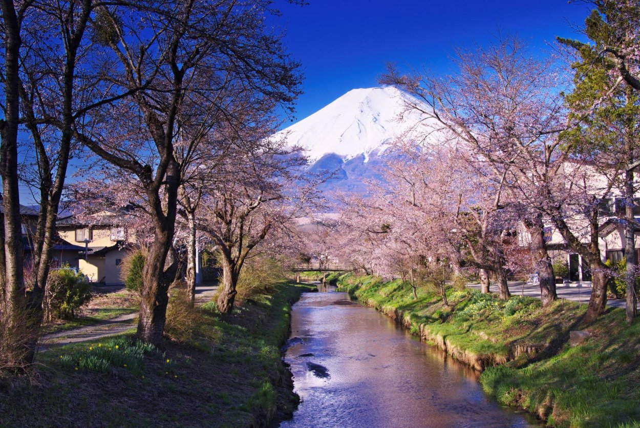 Парк Хаконе в Японии