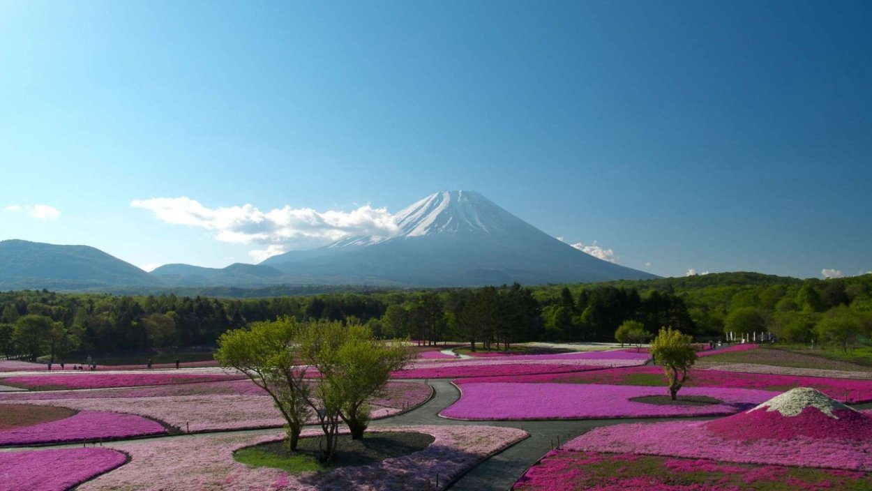 Сад Фудзияма