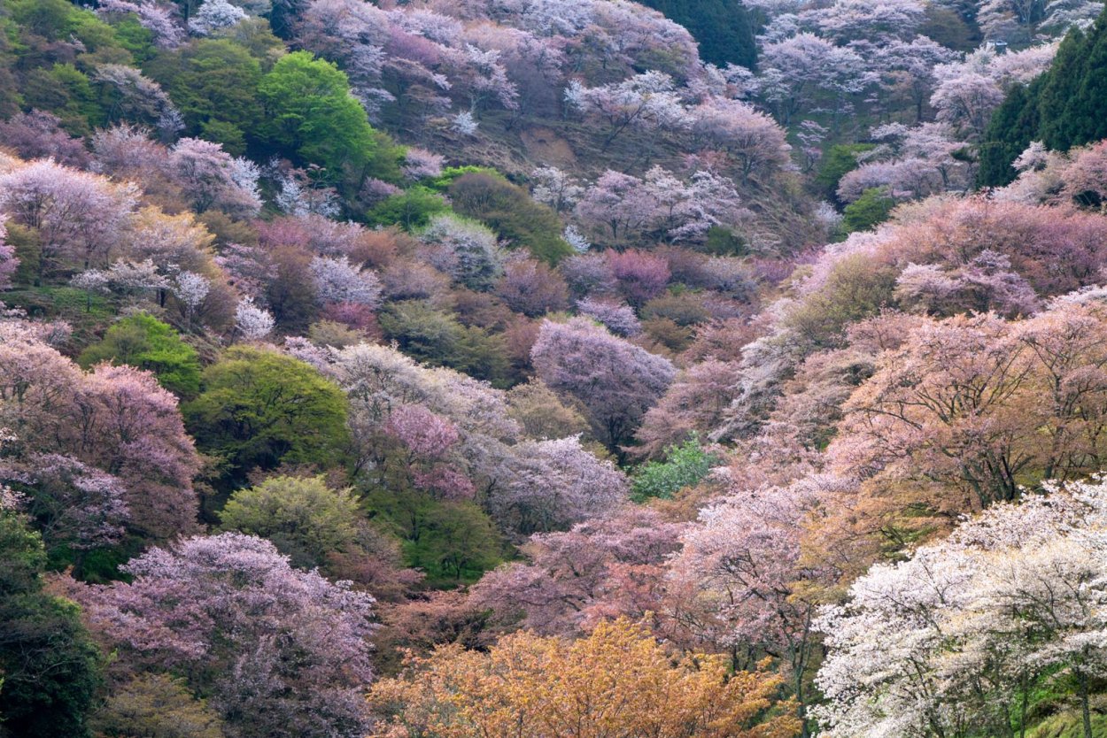 Национальный парк Есино-Кумано