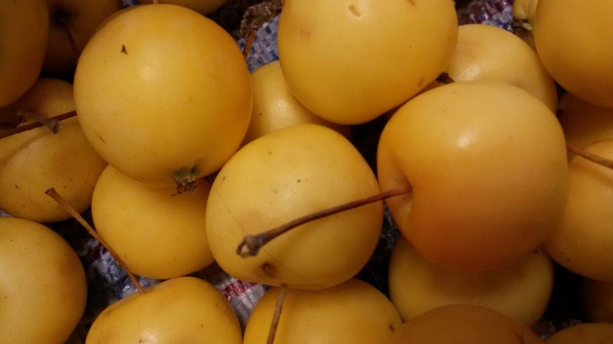 Ранетки сорт яблок