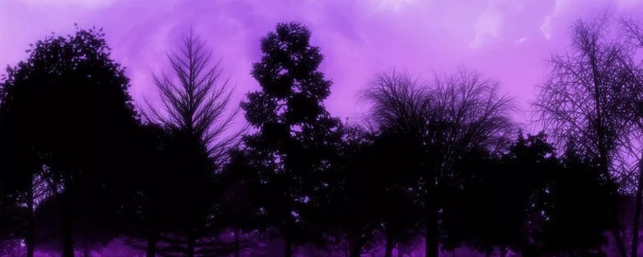 Фиолетовая обложка для группы