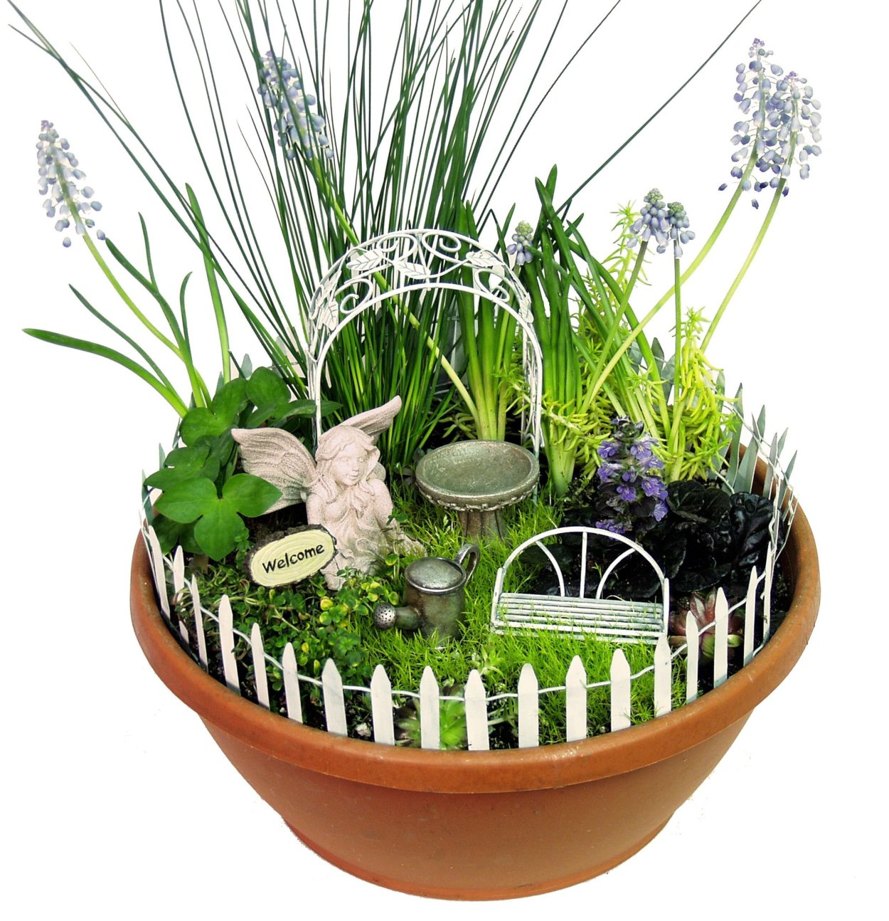 Удольфианский минисад