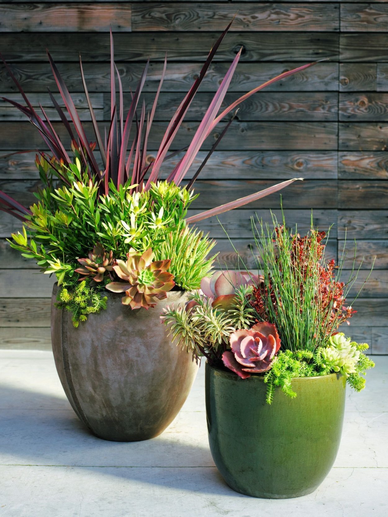 Горшечное Озеленение «садик из суккулентов»