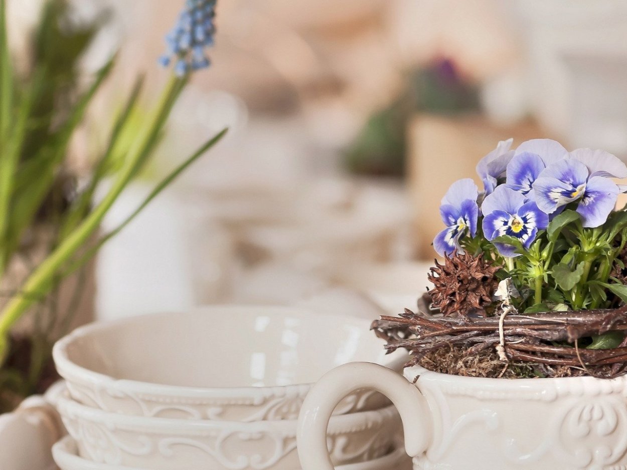 Цветок в горшке на столе