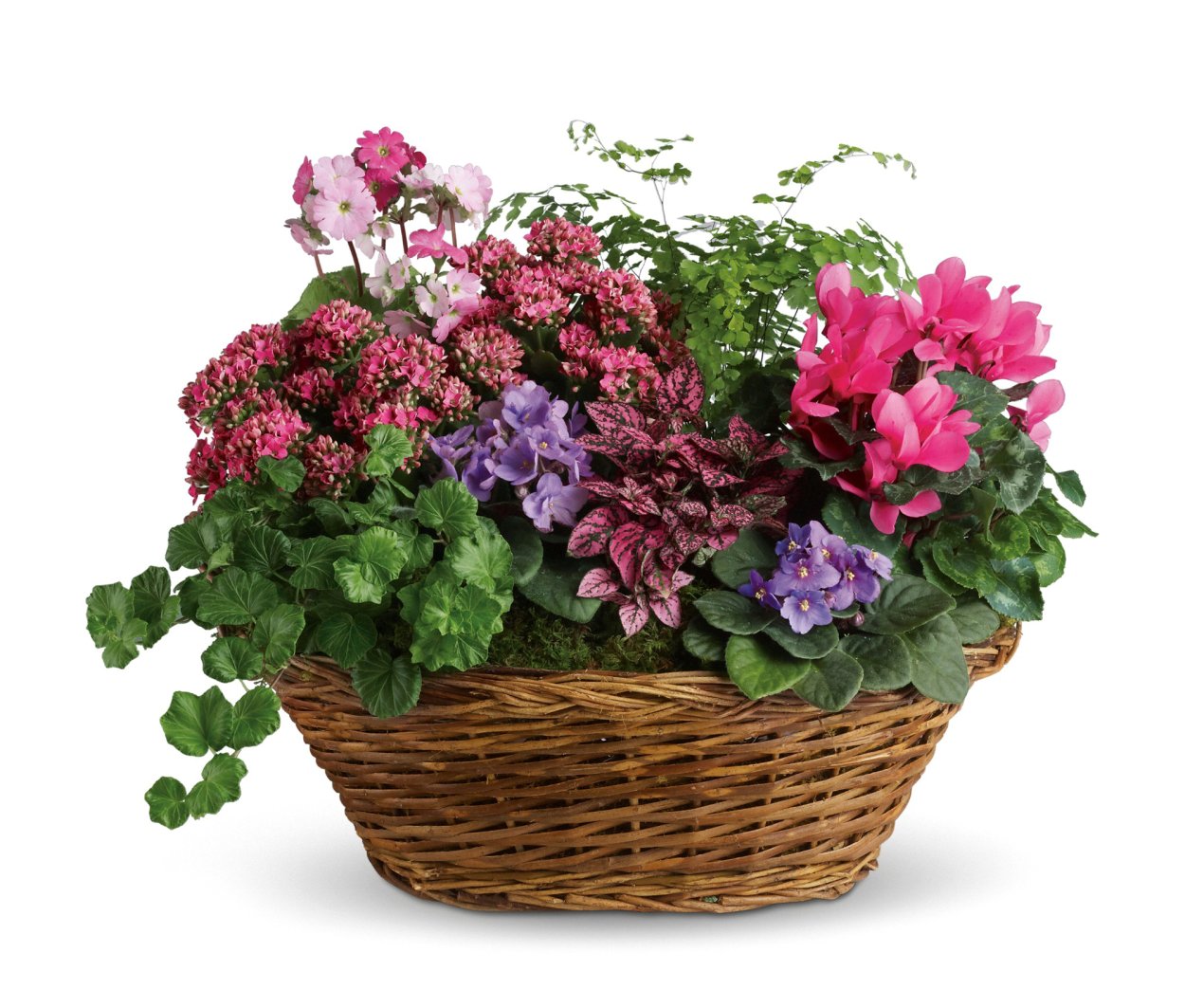 Корзина с цветами в горшках