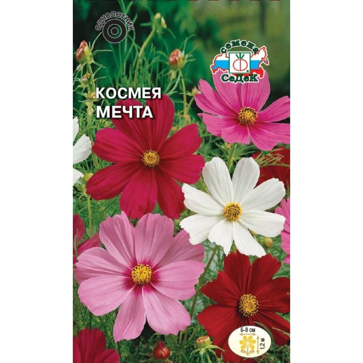 Космея цветок многолетний семена