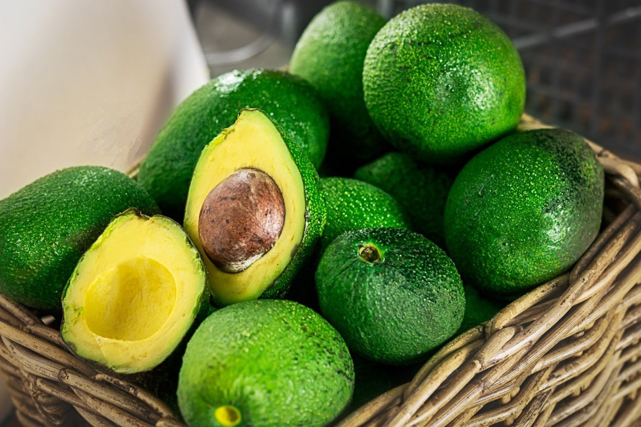 Мексиканский авокадо