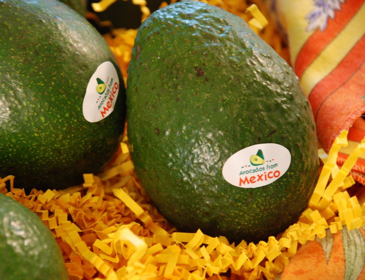 Авокадо фром Мексика