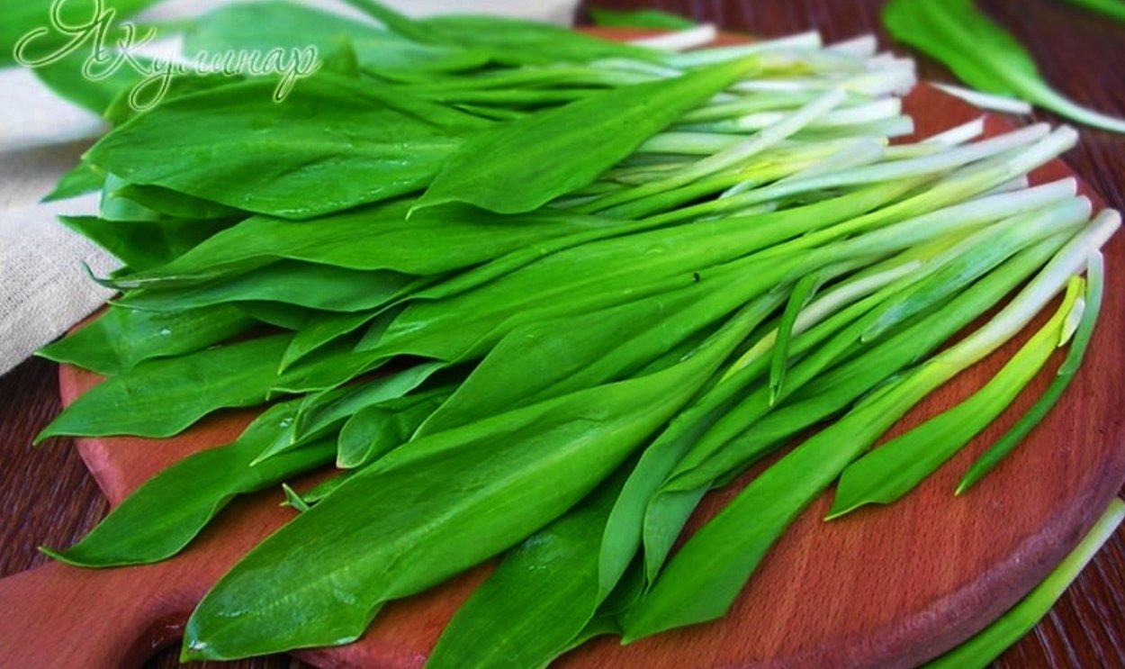 Луковица черемши