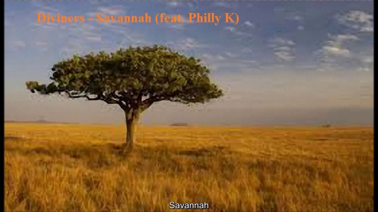 Африканская степь Саванна