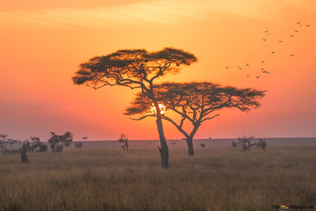 Климат Серенгети
