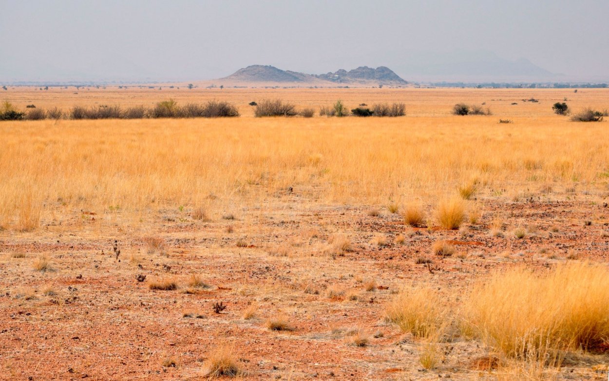 Пустыня Саванна в Африке