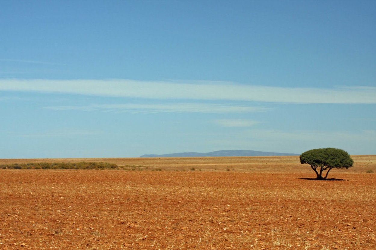 Равнина карру