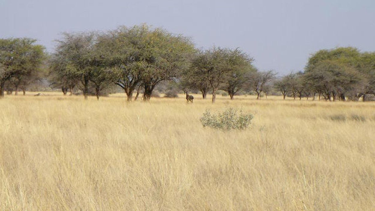 Жаркие районы земли
