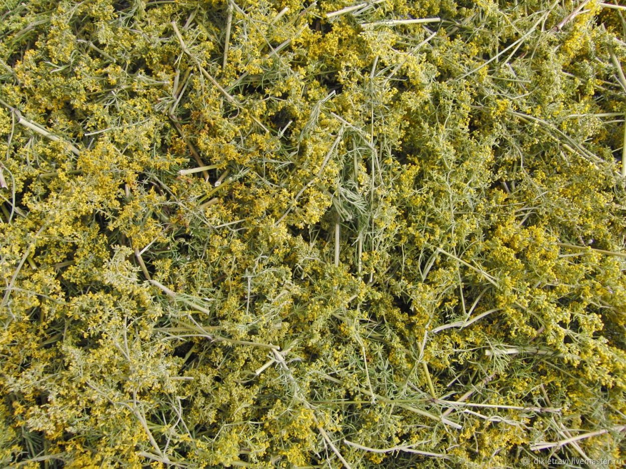 Трава горлуша