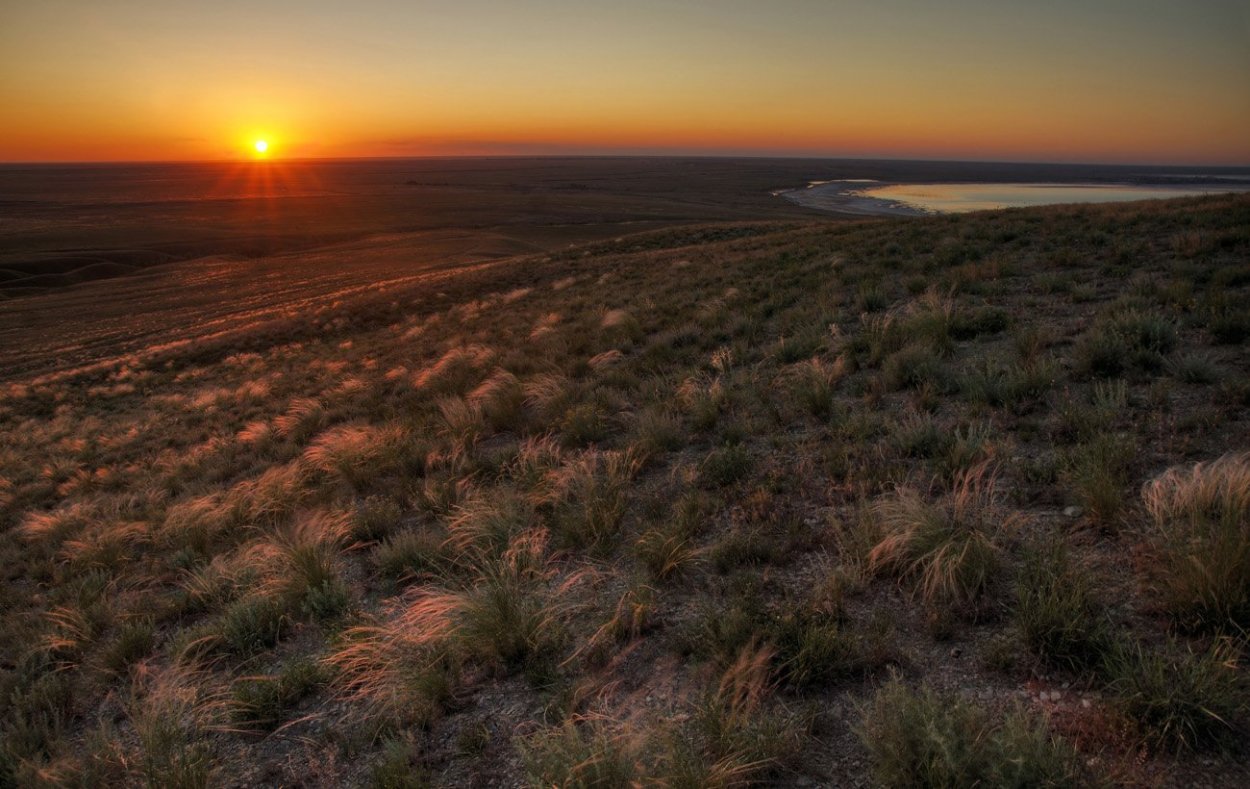 Полупустыни Прикаспийской низменности
